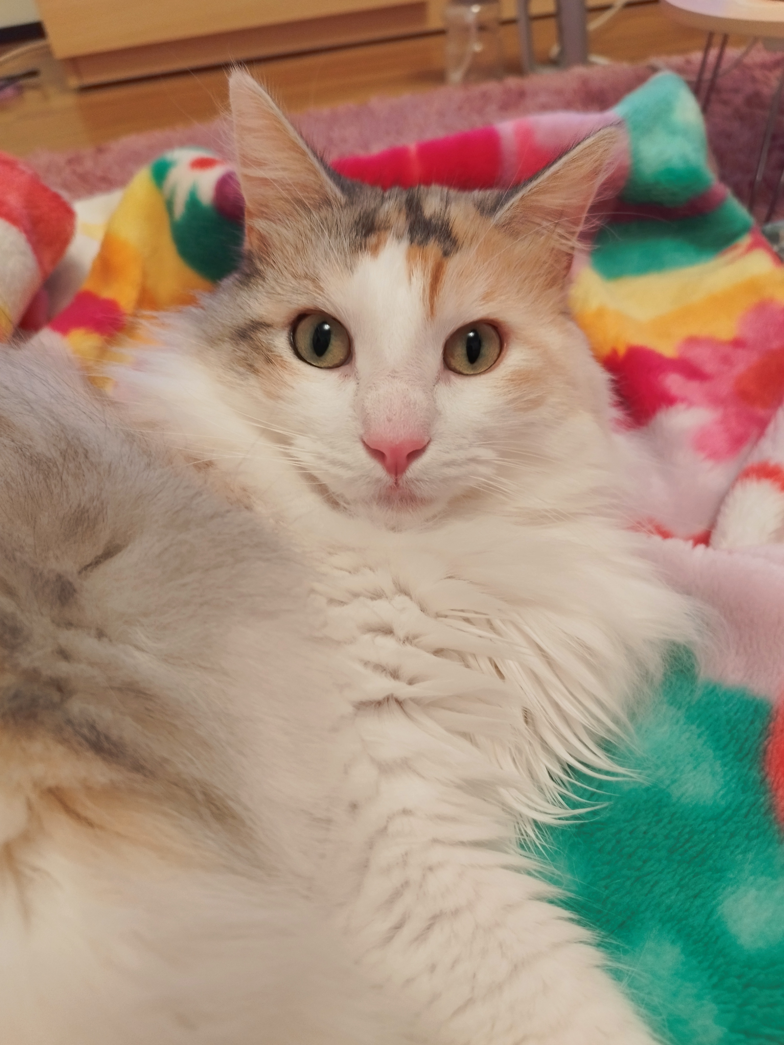 大理石モザイク　エメラルドグリーン